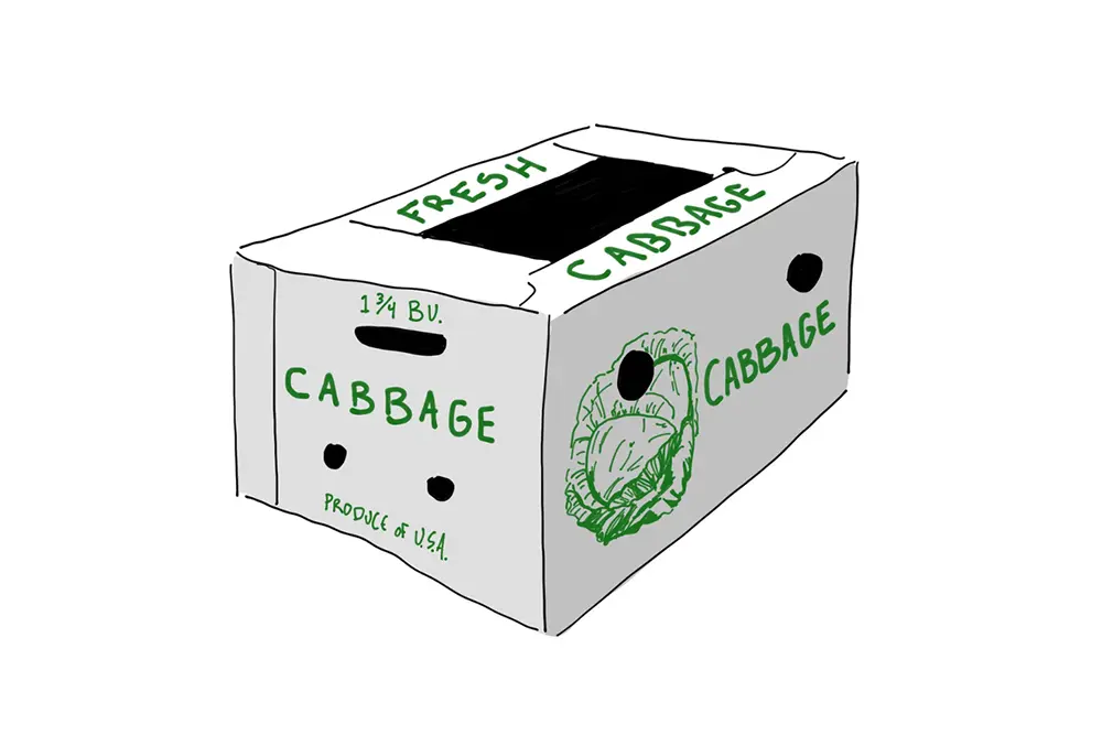 box product cabbage